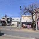 타코잉닭 이미지