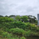 동유중기 이미지