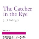 Rebel in the rye 이미지