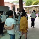 남이초등학교 이미지