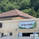 [ 2025 숲속 빵시장 ] 엘리시안 강촌 캠핑파크 일대에서 행사하는 빵시장 다녀온 후기