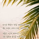 로즈버드 - 군산시 | 로즈버드