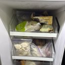 견생폼나개 이미지