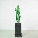 예쁜세상