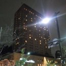 복하고수부지 자전거보관대 | 2013. 12. 18(수)~21(토) 3박4일 도쿄, 요코하마 일대 연수 후기