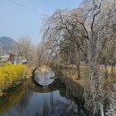 장척호수뷰 이미지