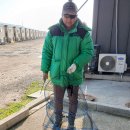 독도바다낚시터 이미지