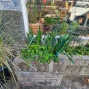 향촌수제화센터 | [대구 향촌동]시내 나들이3-예술의 거리 북성로 탐방(윌로우 가죽공방/오픈대구 무료전시회 관람후기)