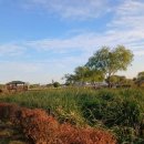 왕송못서길 이미지