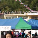 도탄 이미지