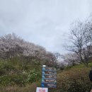 하늘다리 | 🌉 진천 하늘다리 체험 후기 (농다리 다음 코스로 강력 추천!)