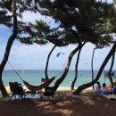 강릉율곡병원 이미지