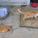 느리민박 이미지