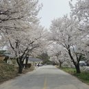 벚꽃마을경로당 이미지