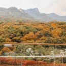 체크호텔 이미지