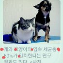 아침의 음악편지 (2025.01.23.목)🆗️인생의 여전함이야말로 정말 소중한 것이라고~ 이미지