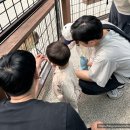 좋은나라 | 오키나와 어린이나라 후기 🐘 | 아기랑 가기 좋은 첫날 코스 (19개월 실제 반응)