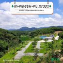 블루베리관광농원 베리굿 오토캠핑장 이미지