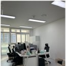 세무법인더원