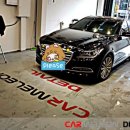 카멜레온 디테일 이미지