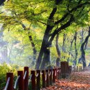타임머신을 타고 우리 역사 속으로~ 이미지