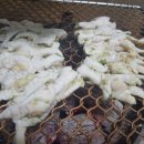 하대동307 이미지