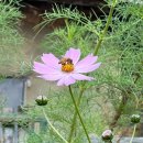 어필각 | 대구 근교 가볼만한곳, 성주 선석사 경북유형문화유산