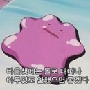 신마트 - 사하구 | 신마트