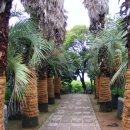 애니타임 이미지