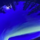 정보식당 이미지