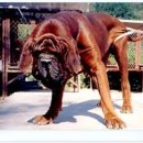 유순농장 이미지