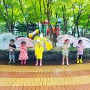 반디숲어린이집 이미지