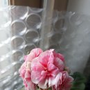 마담리 이미지