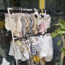 푸드포퍼피 이미지