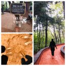 강서구민회관 주차장 이미지