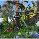 울루와뚜비치하우스 이미지