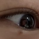 오드리뷰티 | [경남 진주] 오드리네츄럴뷰티 속눈썹펌 내돈내산 후기