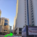 무마취 고양이 미용실 반할고양 이미지