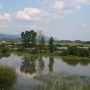 낙동강변24 이미지