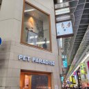 펫 파라다이스 | 오사카 펫파라다이스 후기 및 오사카 애견용품 쇼핑 추천