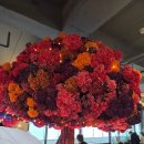 코코 | 중요한 날 가족 외식 LA코코보일링 후기