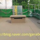칠만표방수제 Daum카페