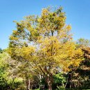 물빛근린공원 공원화장실 이미지