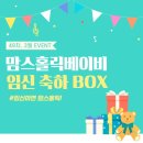 루미홀릭