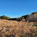 마망펜션 | 마망펜션 후기, 정동진에서 진짜 조용한 쉼을 찾았어요 :)