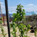 별샘농장 이미지