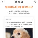 마켓99