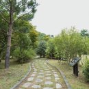 백야자연휴양림 이미지