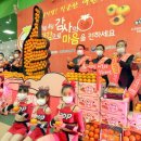 경남단감 원예농업협동조합 이미지