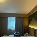 레이관광호텔 | 마쓰야마 가성비호텔추천 도큐레이호텔 조식 숙박 후기